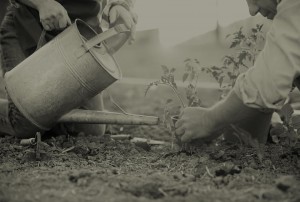 black and white photo of two people gardening