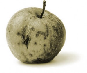 rotten apple with black holes