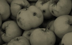 Rotten apples with black holes