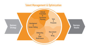 Talent Management Optimization Graphic