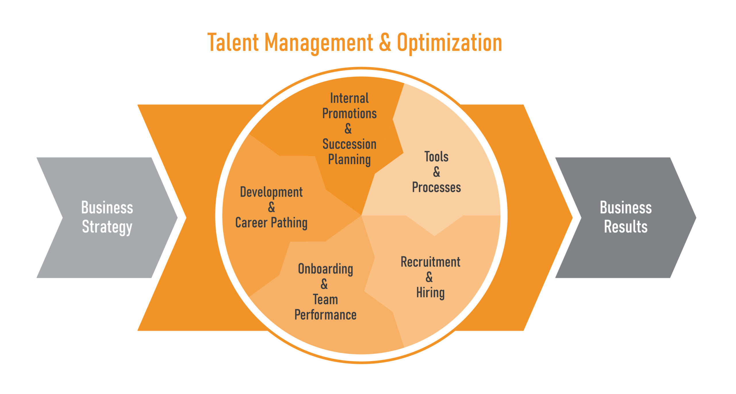 Talent Management & Optimization Main Graphic