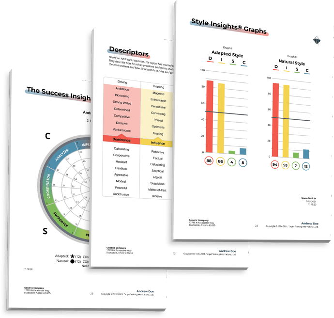 Images from DISC assessment